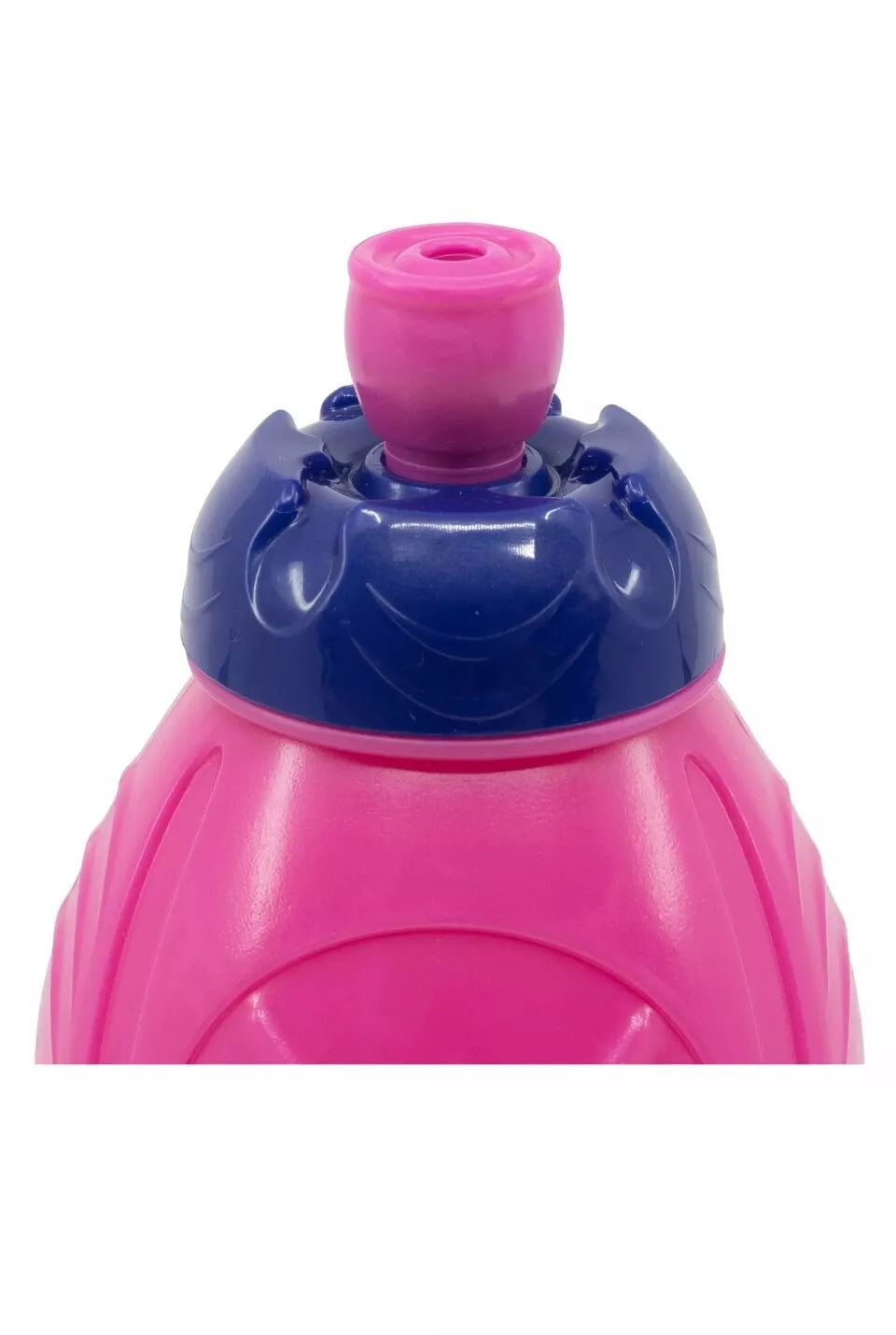 BPA-Free Mirabel Encanto Lunch Box & Water Bottle Combo – Pink